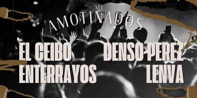 Amotinados XLI cover image