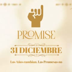 PROMISE AÑO NUEVO cover image
